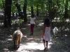 2 Mädchen gehen mit Ziegen spazieren