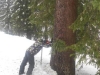 Kind im Schnee bei einem Baum anhaltend